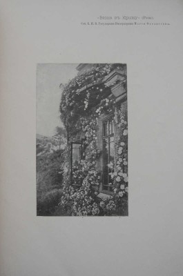 Иосиф Крачковский. [Каталог]. СПб., 1902.